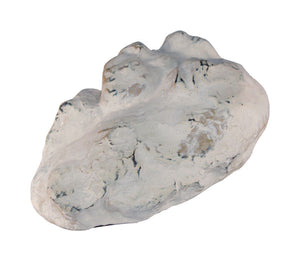 Cd Key Rock (Pack Of 1)