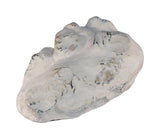 Cd Key Rock (Pack Of 1)