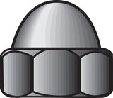 Nut Cap 10-24 Ss 100Pk (Pack Of 1)