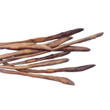 Frey Scientific Choice Plain Injected Preserved Earthworm, 10 In+, Pack Of 100