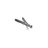 Dckscrw & Plg Kit2-1/2 S (Pack Of 4)