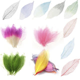 CALANDIS 100x Natural Magnolia Skeleton Leaf Card Scrapbook Embellishment Purple+White | Flower Embellishments | Scrapbooking Em