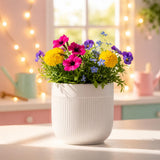 Xtore Refined Ceramic Ribbed Planter With Base | Medium Round Plant Pot For Desk, Shelf & Corner DCor (White, 1 Piece, Planter