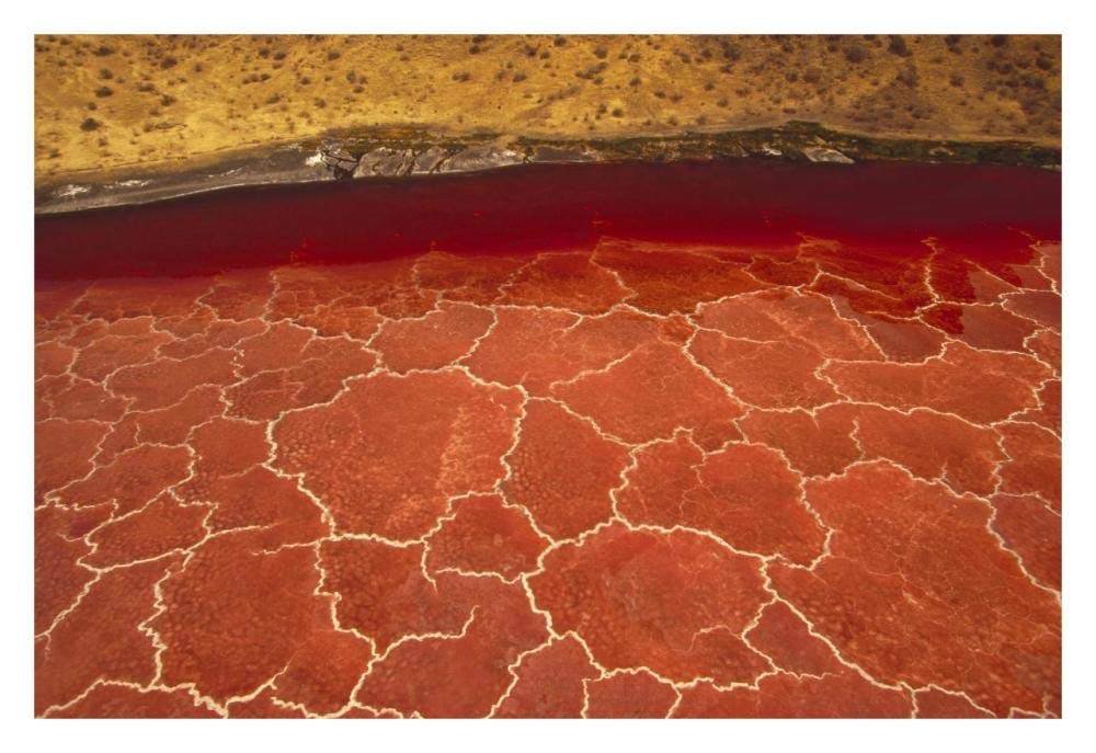 Soda Formations On The Surface Of Lake Natron, Tanzania, East Africa-Paper Art-32,,X22,,