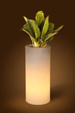 Blume Plastic Round Small Led Planter Vase For Living Room Home Balcony Decor Indoor Outdoor Gardening Flower Vase Plant Contain