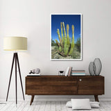 Old Man Cactus In Sonoran Desert Landscape, Baja California, Mexico-Paper Art-34,,X50,,