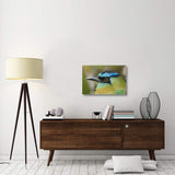 Blue-Crowned Motmot, Costa Rica-Canvas Art-30X20