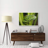 Green Iguana Amid Green Leaves, Roatan Island, Honduras-Paper Art-50,,X34,,