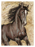 Maestoso-Paper Art-26,,X34,,