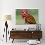 Portrait Of A Cockerel-Paper Art-62,,X42,,