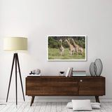 Giraffe Group, Linyanti River, Botswana-Paper Art-42,,X26.8,,