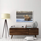 Grizzly Bear Yearlings On Shore, Katmai National Park, Alaska-Paper Art-50,,X34,,