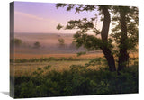 Tallgrass Prairie National Preserve, Kansas-Canvas Art-24X18
