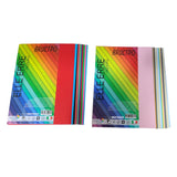 Brustro Elle Erre Coloured Card Stock Craft Paper A4 Size 220 Gsm Mixed Bright & Soft Colours 48 Sheets Pack (12 X 2 Bright And 