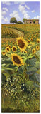 Collina Toscana-Paper Art-26,,X74,,