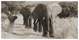Herd Of African Elephants, Kenya-Paper Art-74,,X38,,