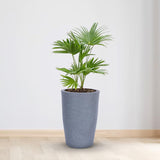 Bonkaso 12 Inch Light Grey Pot Tall, Durable & Lightweight Polymer Round Tower Planter For Indoor & Outdoor Use: Home, Office,
