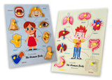 Khilonewale Kids Set of Toddlers Outside & Inside Internal Organs Parts of Body (The Human Body) Wooden Puzzles with Knobs,Size
