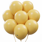 AFTERLOON Biodegradable Balloons 24 pcs Onyx Black 10 Inch, Matte Color Thickened Extra Strong Natural Latex Helium Float, Multi