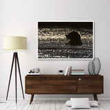 Grizzly Bear In Water, Katmai National Park, Alaska-Paper Art-62,,X42,,