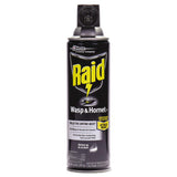 Raid Wasp And Hornet Killer