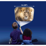 Brainstorm Toys Animal Flashlight And Projector