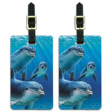 Dolphin Pals Ocean Diving Luggage Id Tags Suitcase CarryOn Cards Set Of 2