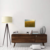 Upper Prairie In Badlands National Park, South Dakota-Canvas Art-24X18