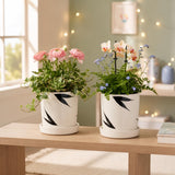 Xtore 2 Pc Striking Minimalist Ceramic Planter Pot With Tray For Indoor Plants & Tabletop Styling |Subtle Leaf Motif For Living 