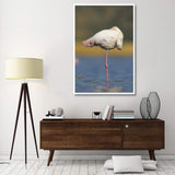 Greater Flamingo Standing On One Leg As It Rests, Kenya-Paper Art-42,,X62,,