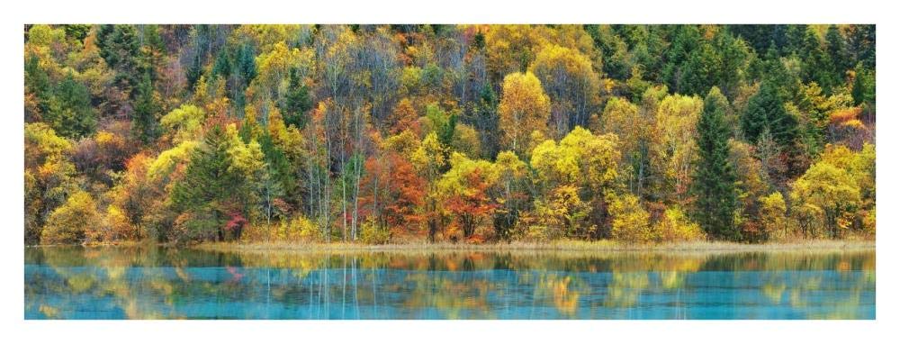Lake And Forest In Autumn, China-Paper Art-38,,X14,,