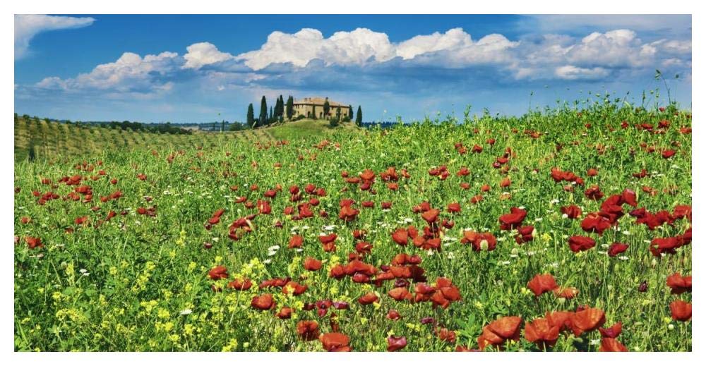 Farm House With Cypresses And Poppies, Tuscany, Italy-Paper Art-50,,X26,,