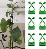 30 Pcs MultiFunctional Plant Climbing Clips & Wire Organizer By Coral India | Green Wall Grips For Vines, Led Lights, And Cable