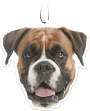 Spoontiques Boxer Air Freshener