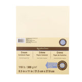 100 Sheets 8.5 x 11 Heavyweight Cardstock Paper by Recollections Acid and Lignin Free Paper for Scrapbooks, Arts & Craft