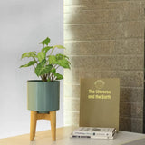 Trustbasket Jude Metal Flower Pot Planter With Tripod Stand | Table Top Flower Pot | Indoor Flower Planter For Home, Office, Liv