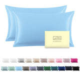 Silk Pillow Cases 2 Pack,Soft Breathable and Sliky Standard Size Pillow Cases Set of 2,Natural Mulberry Silk Pillowcase Set of 2 for Hair and Skin with Hidden Zipper (Sky Blue,20X 26,2pcs)