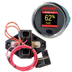 Cdi Electronics Sg200 Battery Monitor Kit, 12V-48V