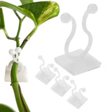 Twinleaf SelfAdhesive Plant Climbing Wall Clips, Set Of 30
