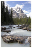 Mount Stephen And Yoho River, Yoho National Park, British Columbia, Canada-Paper Art-42,,X62,,