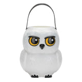 Disguise Harry Potter Hedwig Treat Pail, Official Wizarding World Halloween Bucket for Kids & D cor, 7.8x6.6x6.9 inches