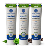 Natruveda Neem Toothpaste, Mint Flavor with Miswak, Babul,Vajardanti, SLS Free, Fluoride Free, Complete Oral Care 100 g X 3 Herb