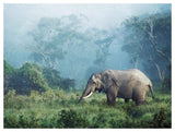 African Elephant, Ngorongoro Crater, Tanzania-Paper Art-50,,X38,,