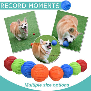Vitalili Dog Toy Balls, 4 PCS Rubber Ball Set, Chew Resistant, High Bounce, Textured Design for Teeth Cleaning, Dog Training, Sm