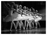 Swan Lake Ballet-Paper Art-42,,X32,,