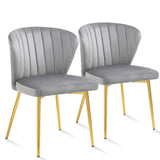 ANOUR Modern Dining Chairs, Velvet Accent Chair, Living Room Chairs, Set of 2, Upholstered Side Chair with Golden Metal Legs for
