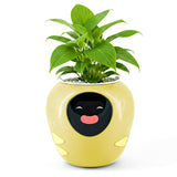 Plantbot Upgraded Large Smart Flower Pot Pet Planter Robot With Artificial Intelligence, Time Temperature Display, And Numerous 