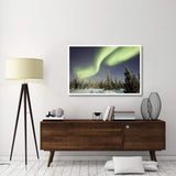 Northern Lights Or Aurora Borealis Over Boreal Forest, North America-Paper Art-50,,X34,,
