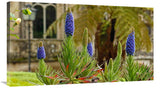 Sintra Gardens-Canvas Art-40X22.8