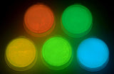 Fluorescent 5 Color Pack Glow in The Dark Pigment Powder - 12g Each, 60g Total